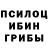 Псилоцибиновые грибы ЛСД Ekaterina Klimenko