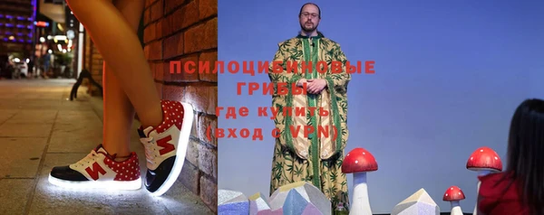 винт Армянск