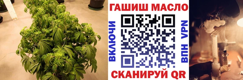 Дистиллят ТГК THC oil  Приморско-Ахтарск 