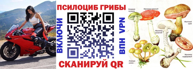 Галлюциногенные грибы Cubensis  где купить наркотик  Приморско-Ахтарск 